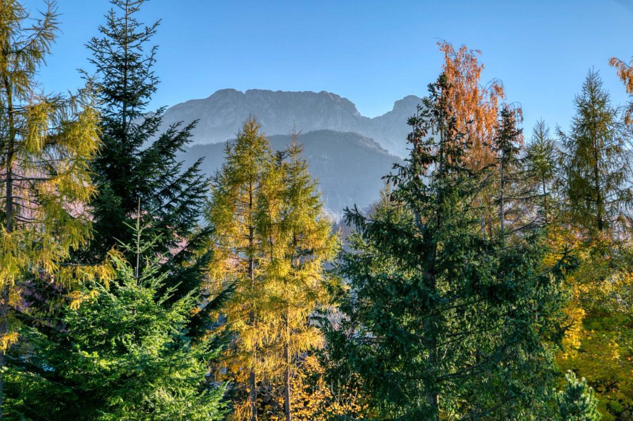 Apartament Biala Roza Zakopane Exteriör bild